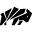 Bizon.expert Favicon