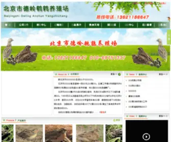 Bjanchun.com(Bjanchun) Screenshot