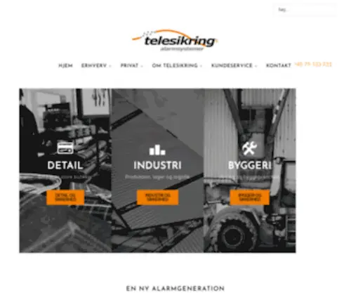 Bjerring-Hansen.dk(Telesikring as) Screenshot