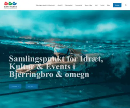 Bjerringbroip.dk(Bjerringbroip) Screenshot