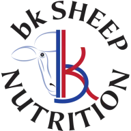 BKsheep.com Favicon