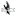 BL4CK.org Favicon