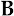 Blachogco.dk Favicon