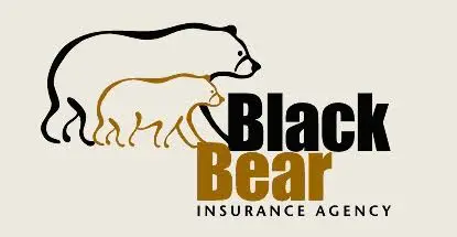 Blackbearagency.com Favicon