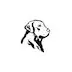 Blackberryhilllabradors.com Favicon