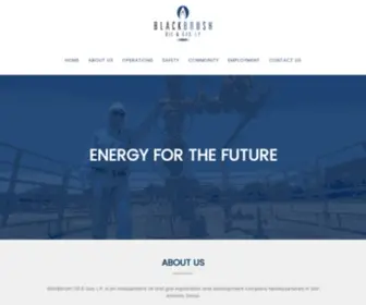 Blackbrushenergy.com(Oil and Gas Exploration Company) Screenshot