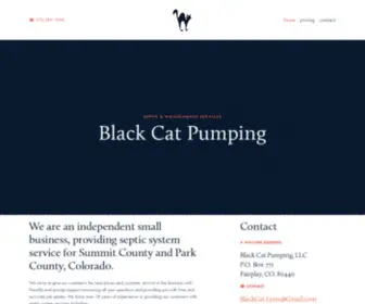 Blackcatpumping.com(Black Cat Pumping) Screenshot