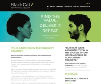 Blackcatsolutions.co.uk(BlackCat Solutions) Screenshot