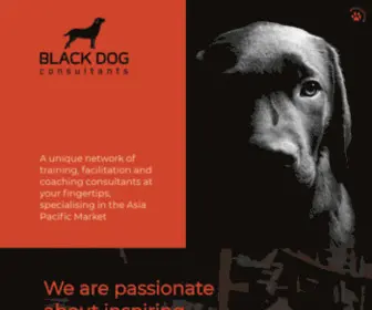 Blackdog-Consultants.com(Black Dog Consultants) Screenshot