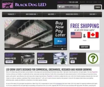 Blackdogled.com(Black Dog LED) Screenshot