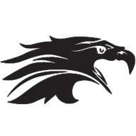 Blackeagleenergyservices.com Favicon