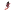 Blackforestmagic.de Favicon