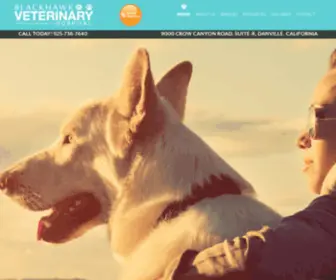 Blackhawkvet.com(Blackhawk Veterinary Hospital) Screenshot