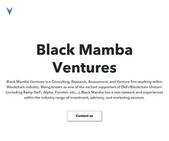 Blackmamba.ventures(Black Mamba Ventures) Screenshot