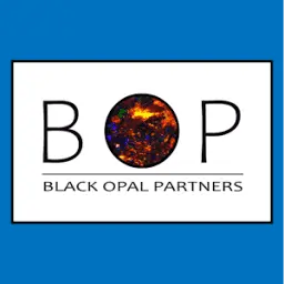 Blackopalpartners.com Favicon