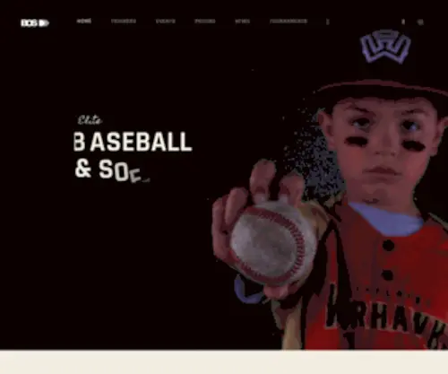 Blackoutsportsohio.com(Indoor Batting Cages) Screenshot