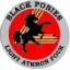 Blackpony.org Logo