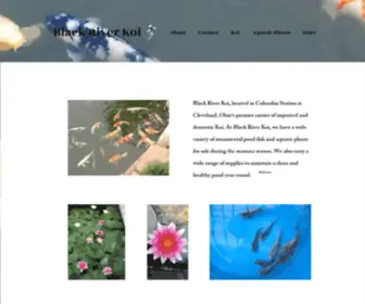 Blackriverkoi.com(Home) Screenshot