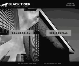 Blacktiger.pro(Black Tiger Low Voltage Systems) Screenshot