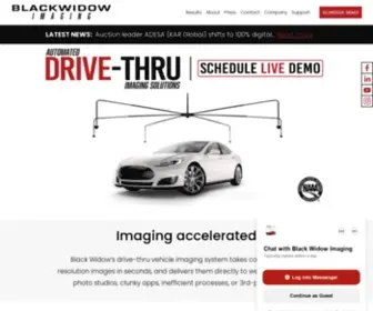 Blackwidowimaging.com(If your product isn't merchandised on DAY 1 you're wasting MILLIONS) Screenshot