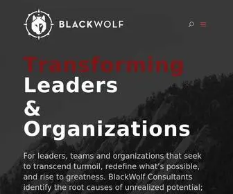 Blackwolfconsultants.com(BlackWolf Consultants) Screenshot