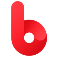 Blasberg.com Favicon