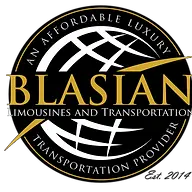 Blasianllc.com Favicon