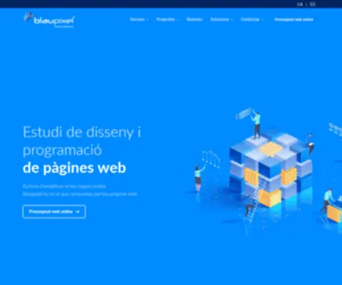 Blaupixel.com(Disseny i programació de pàgines web Girona i Barcelona) Screenshot