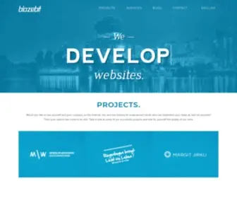 Blazebit.com(Professional web design) Screenshot