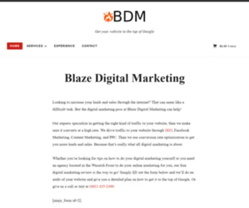 Blazedigitalmarketing.com(Blazedigitalmarketing) Screenshot