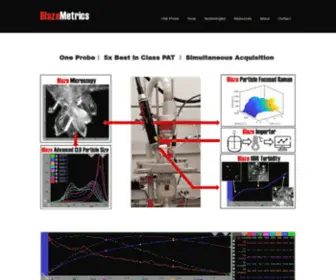 Blazemetrics.com(BlazeMetrics PAT InProcess Microscopy Particle Size Morphology Surface) Screenshot