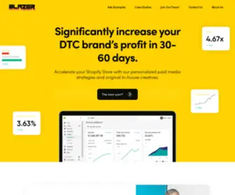 Blazeragency.com(Pay Per Profit eCommerce Growth Partners) Screenshot