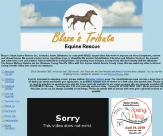 Blazesequinerescue.com(Blaze's Tribute Equine Rescue) Screenshot