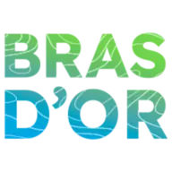 BLbra.ca Favicon