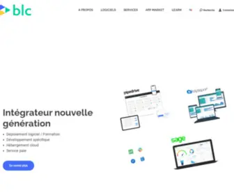 BLC-Conseil.com(Expert CRM & Logiciels de gestion nouvelle génération) Screenshot