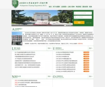 Blcutraining.com(北语出国留学人员培训部) Screenshot