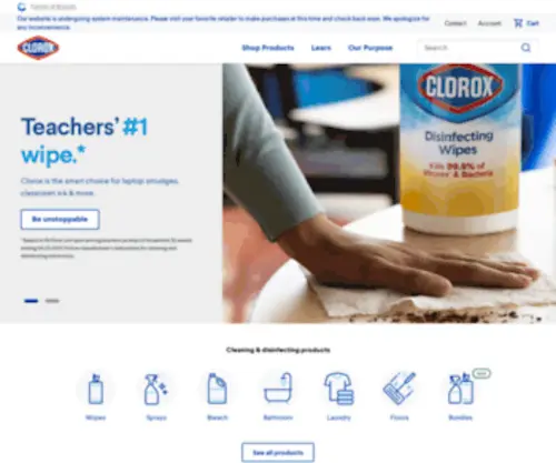 Bleach.com(Cleaning Products and Supplies) Screenshot