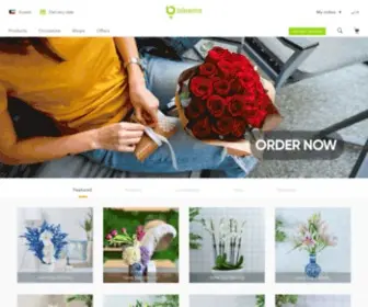 Bleems.com(Fresh Flowers & Gifts Delivery) Screenshot