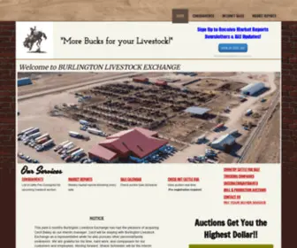 Bleinc.com(Bleinc) Screenshot