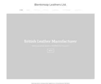 Blenkinsopleathers.com(Blenkinsop Leathers Ltd) Screenshot