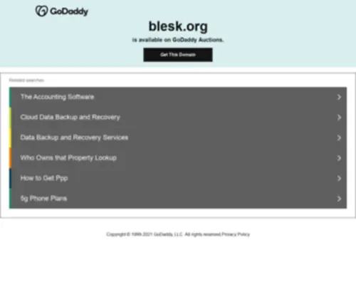 Blesk.org(Marketing and Creative Advertising Agency) Screenshot