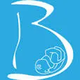 Blessedbeginningsmidwifery.com Favicon