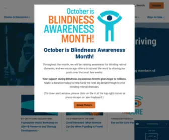 Blindness.org(The urgent mission of the Foundation Fighting Blindness) Screenshot