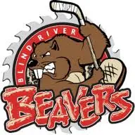 Blindriverbeavers.com Favicon