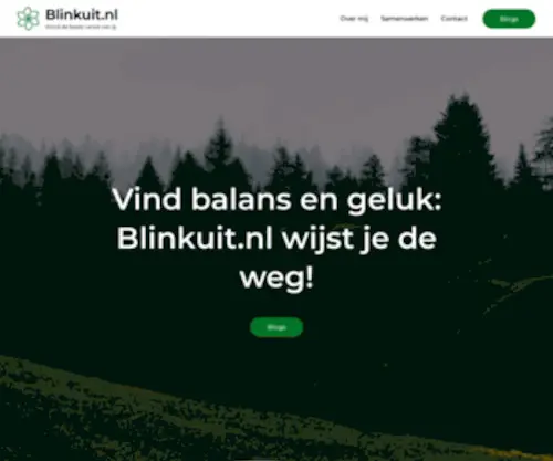 Blinkuit.nl(Word de beste versie van jij) Screenshot