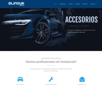 Blinsurmexico.com(Blinsur México) Screenshot