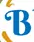 Blissbites.in.net Favicon