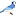 Blissfulbluejays.com Favicon