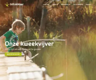 Blitskikker.nl(Webdesign Haarlem) Screenshot
