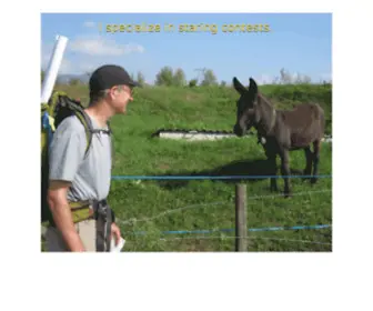 Blitzer.com(Root) Screenshot